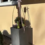 Tischneck - Traumferienhaeuser Im Schwarzwald - Riva & Limone * Hardt (Baden-Wurttemberg)
