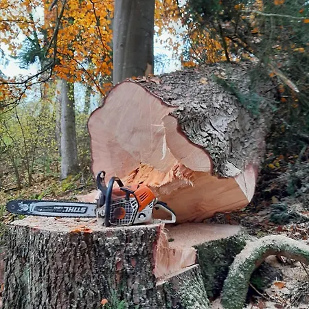 Casa de Férias Tischneck - Traumferienhaeuser Im Schwarzwald - Riva & Limone