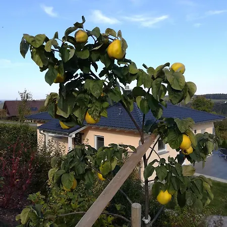 Vakantiehuis Tischneck - Traumferienhaeuser Im Schwarzwald - Riva & Limone