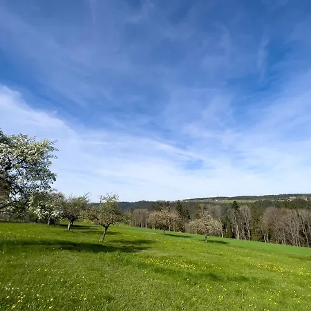Tischneck - Traumferienhaeuser Im Schwarzwald - Riva & Limone * Hardt (Baden-Wurttemberg)