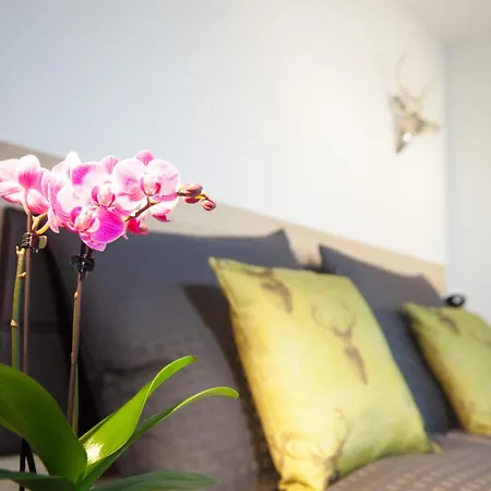 Tischneck - Traumferienhaeuser Im Schwarzwald - Riva & Limone Casa de Férias *