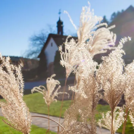 Tischneck - Traumferienhaeuser Im Schwarzwald - Riva & Limone